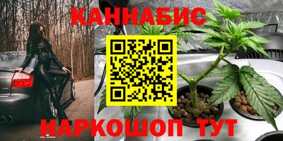 хмурый Дубна